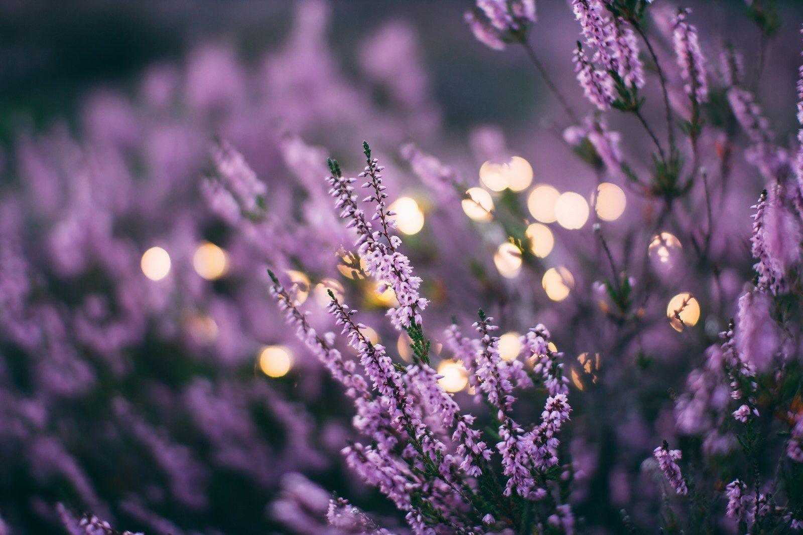 Natural Remedies for Insomnia That Are Worth Trying